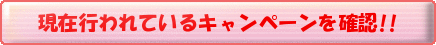 ロイヤルチーパー